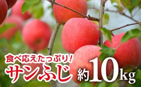 【令和6年産先行予約】 JA りんご 「サンふじ」 約10kg (28～40玉 秀) 《令和6年11月中旬～12月中旬発送》 『JA山形おきたま』 山形県 南陽市 720