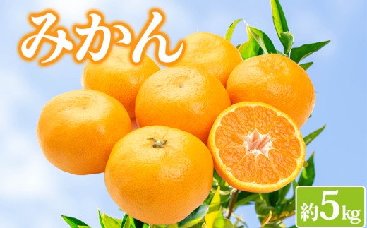 【先行予約】みかん 約5kg 柑橘 ミカン 蜜柑 オレンジ 果物 くだもの フルーツ 果実 ギフト 贈答用 プレゼント 11月～ 順次発送 香川県 丸亀市