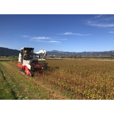 ふるさと納税 揖斐川町 揖斐川町 手打ちそば処 西美濃はなのきの冷凍二八蕎麦【温】4人前 |  | 02