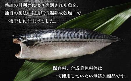 【 干物 】 詰め合わせ 11枚 | 干物