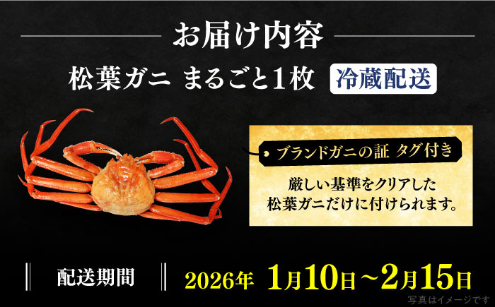 松葉ガニ 1枚 島根県松江市/フジキコーポレーション株式会社 [ALDS017]