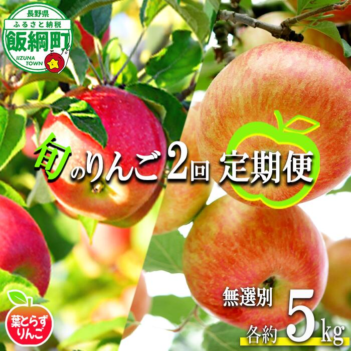【ふるさと納税】 季節のりんご 【 定期便 】 旬の2品種 葉とらず 無選別 5kg × 2回 エバラ農園 沖縄県への配送不可 〔 果物 フルーツ 林檎 長野 予約 農家直送 5キロ 定期便 〕【令和8年度収穫分】 発送：2026年10月中旬〜
