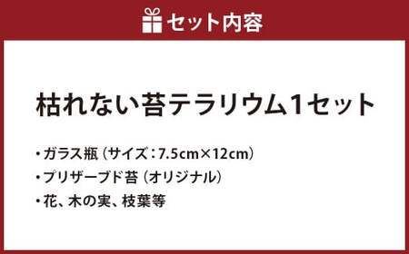 【さとリウムR】プリザーブド加工のテラリウム 秋 1セット ｜テラリウム ガラスドーム 苔 こけ コケ 植物 鑑賞用 インテリア 水やり不要
