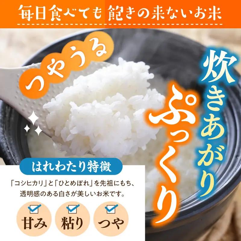 無洗米 5㎏ はれわたり 令和7年産 青森県産 米 青森県五所川原市