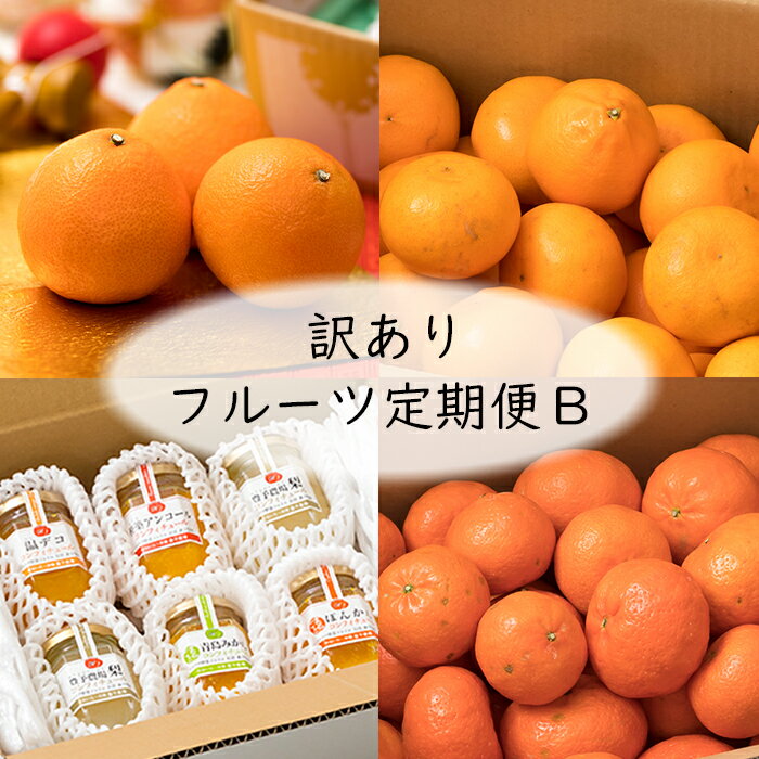 【ふるさと納税】野菜ソムリエ石児さんの訳ありフルーツ定期便B（1月・2月・3月・4月） ミカン みかん 蜜柑 柑橘類 定期便 訳あり 先行予約 せとか アンコール 1月 2月 3月 4月 フルーツ ＜103-802＞