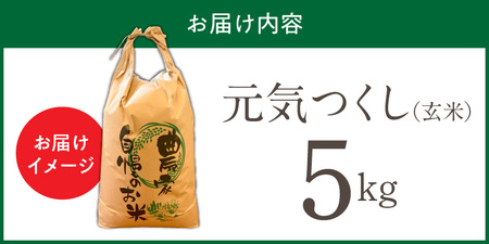 【令和7年産 新米】福岡県産ブランド米元気つくし 玄米 5kg_元気つくし 玄米 内容量 5kg 福岡県産 ブランド米 鮮度抜群 新鮮 福岡生まれ 品種 香り豊か ふっくら 食感 ご飯 おにぎり 弁当