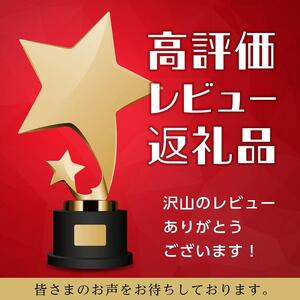 【6か月定期便】カレーパン 6個 牛肉 ゴロゴロ グランプリ 金賞受賞