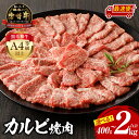 史上初内閣総理大臣賞4連覇* 宮崎牛 カルビ 焼肉・バーベキュー用 500g