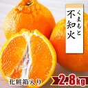 【ふるさと納税】贈答用 不知火 みかん 化粧箱 オリジナル 約2.8キロ ｜果物 くだもの フルーツ 柑橘 柑橘類 みかん 生産者直送 産地直送 玉名 熊本 約2.8kg 送料無料