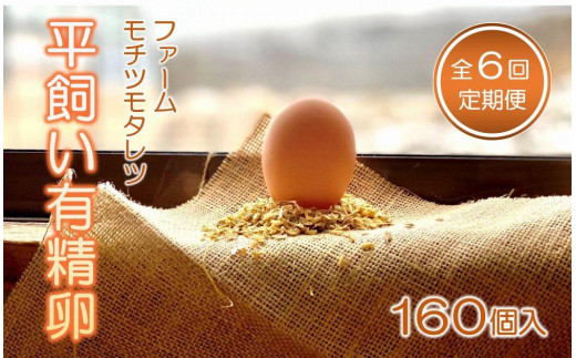
                  【6回定期便】ファームモチツモタレツの平飼い有精卵（160個入） 【 卵 たまご タマゴ 玉子 卵焼き オムレツ 卵かけご飯 ゆで卵 鶏卵 卵黄 生卵 平飼い 長沼町 北海道 】
                