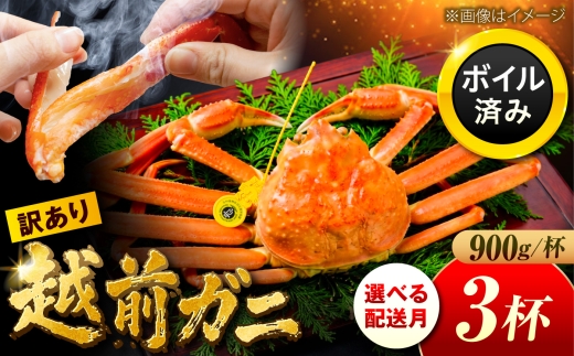 【先行予約/12月配送】訳アリ 脚折れあり 越前がに 900ｇ×3ハイ 小浜市 / まるほ商店【配送不可地域：北海道・沖縄・離島】 [BFCS073]