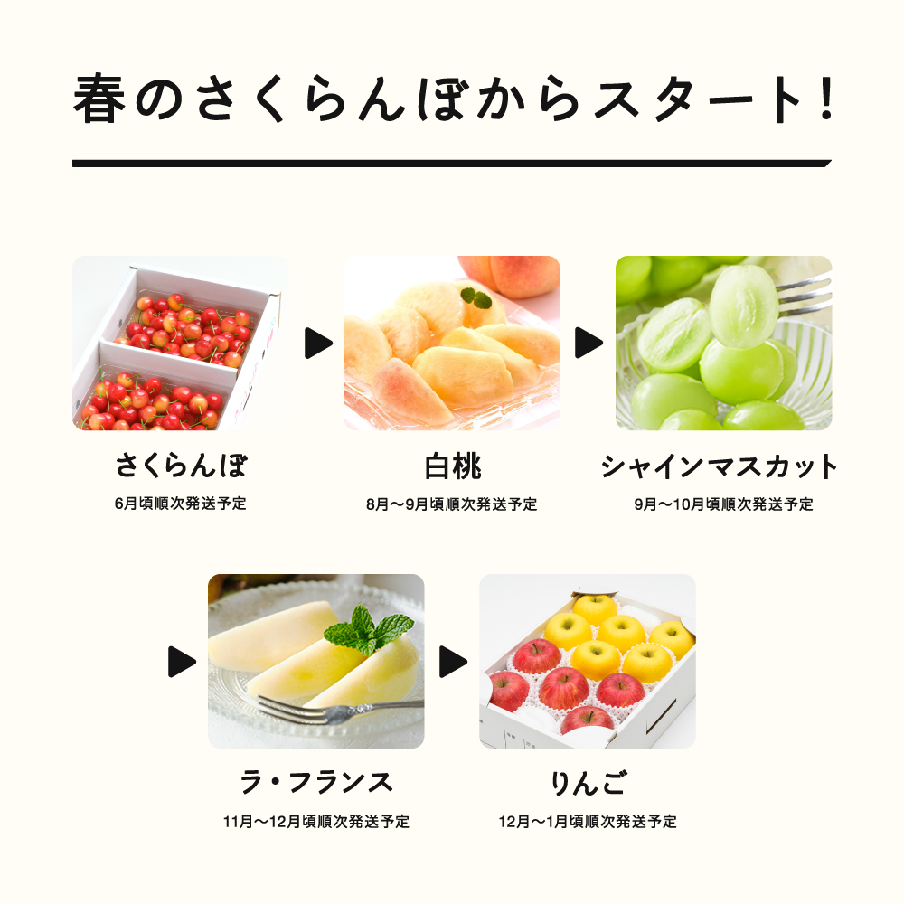 【先行予約】【春始まり】フルーツ定期便 全5回 2026産 令和8年産 さくらんぼ 佐藤錦 白桃 ぶどう シャインマスカット ラフランス ラ・フランス りんご サンふじ シナノゴールド 果物 送料無料
