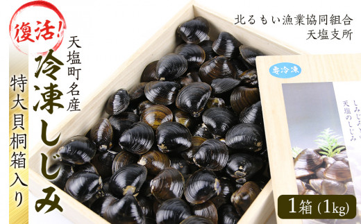 
復活！天塩町名産冷凍しじみ「特大貝桐箱入り」１ｋｇ＜北るもい漁業協同組合　天塩支所＞
