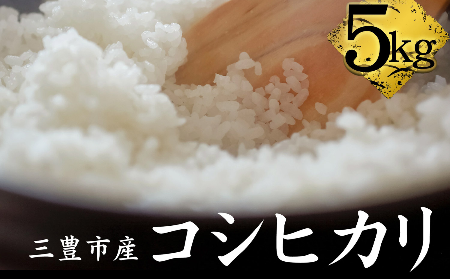 M64-0111_【ふるさと納税】【11/10頃より発送】新米コシヒカリ　5kg