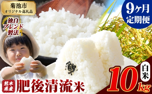 【9ヶ月定期便】熊本県産 肥後清流米 白米 10kg 熊本県産 ふるさと納税 精米 米 こめ ふるさとのうぜい コメ お米 おこめ《お申込み翌月から出荷》