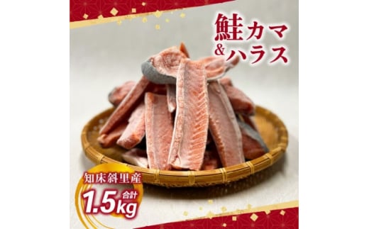 ＜先行受付＞＜数量限定＞ 知床斜里産 天然秋鮭カマ&ハラス 1.5kg 船上活締め【1447515】