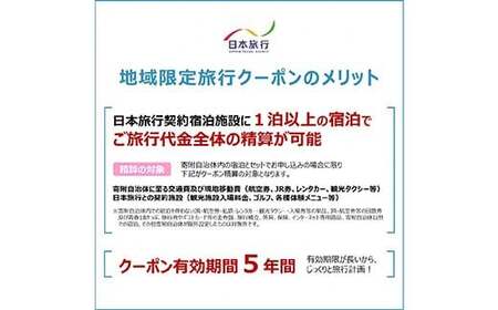 富山県立山町 日本旅行 地域限定旅行クーポン15,000円分 旅 旅行 観光 レジャー チケット クーポン 立山観光 F6T-754