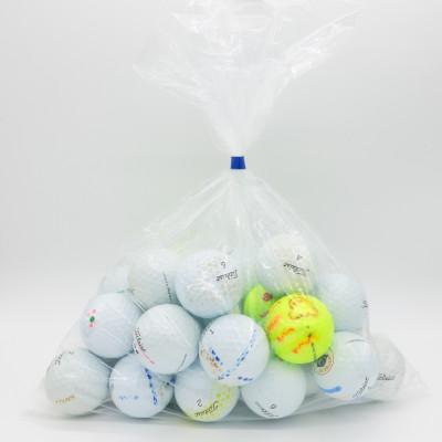 ふるさと納税 武蔵村山市 タイトリストProV1/V1x　ロストボール　練習用　30個セット　年代、カラー混合 |  | 01