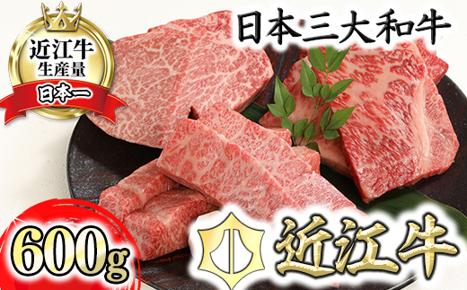 【2月末までに発送】近江牛A5ランク厳選カットステーキ3種【600g】【DG03W-2m】