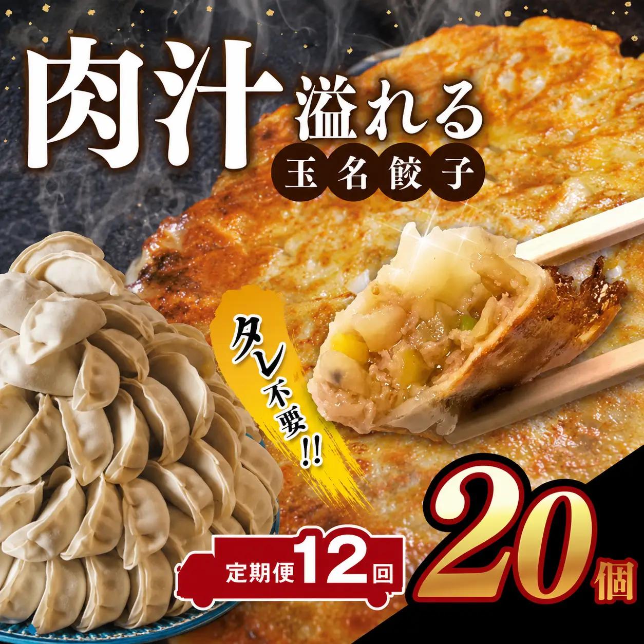 【定期便12回】玉名餃子 20個