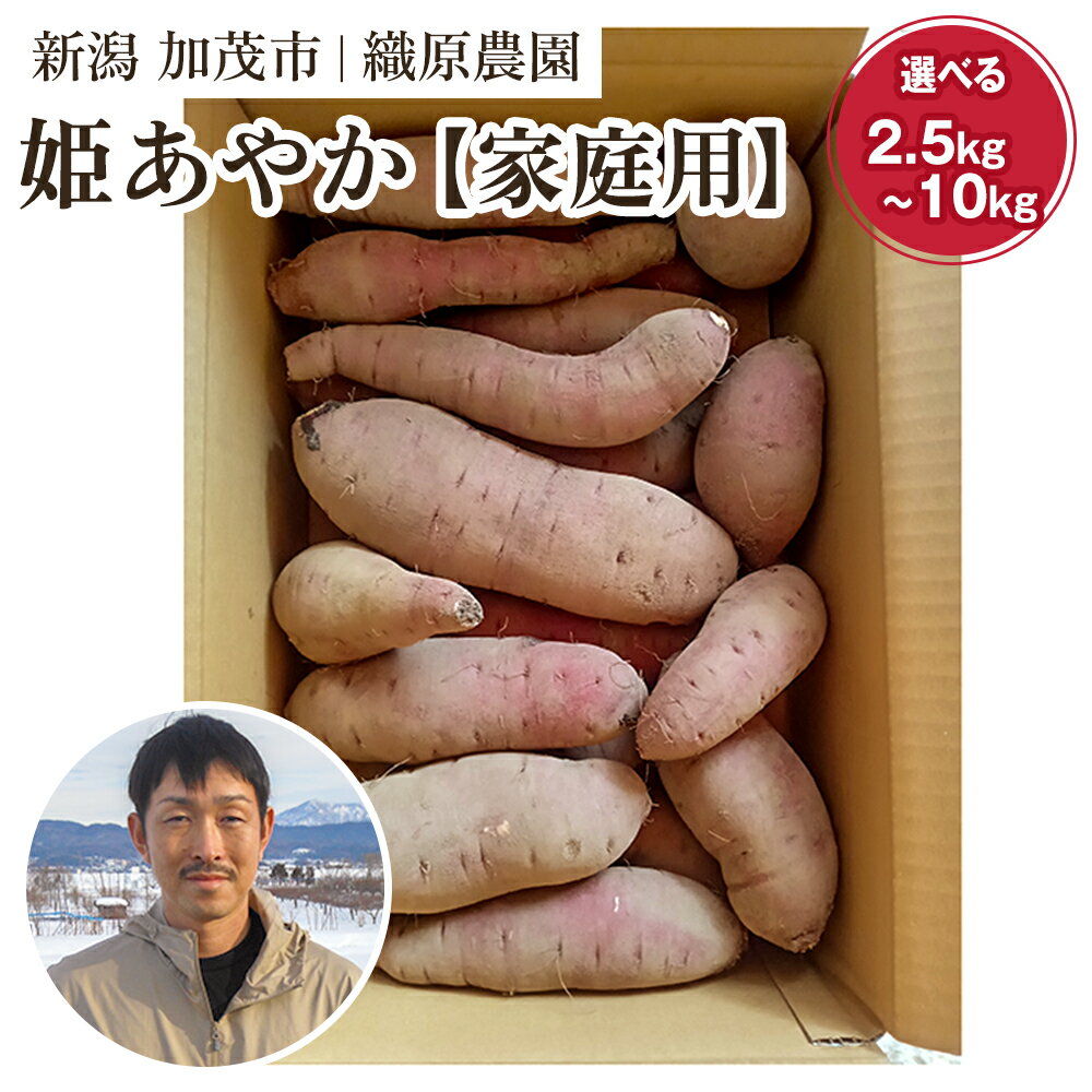【ふるさと納税】【2025年先行予約】新潟県 加茂市産 姫あやか 【家庭用】選べる「2.5kg」or「5kg」or「10kg」《11月上旬～順次発送》 人気 さつまいも 訳あり 家庭用 さつまいも 熟成 さつまいも しっとり甘みの強い さつまいも 焼き芋 焼芋 スイートポテト 加茂市 織原農園