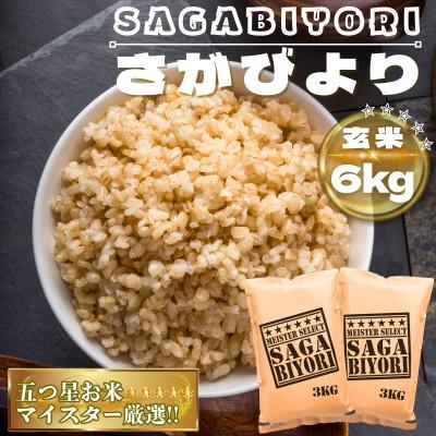 ふるさと納税 鳥栖市 【玄米】さがびより6kg(鳥栖市)