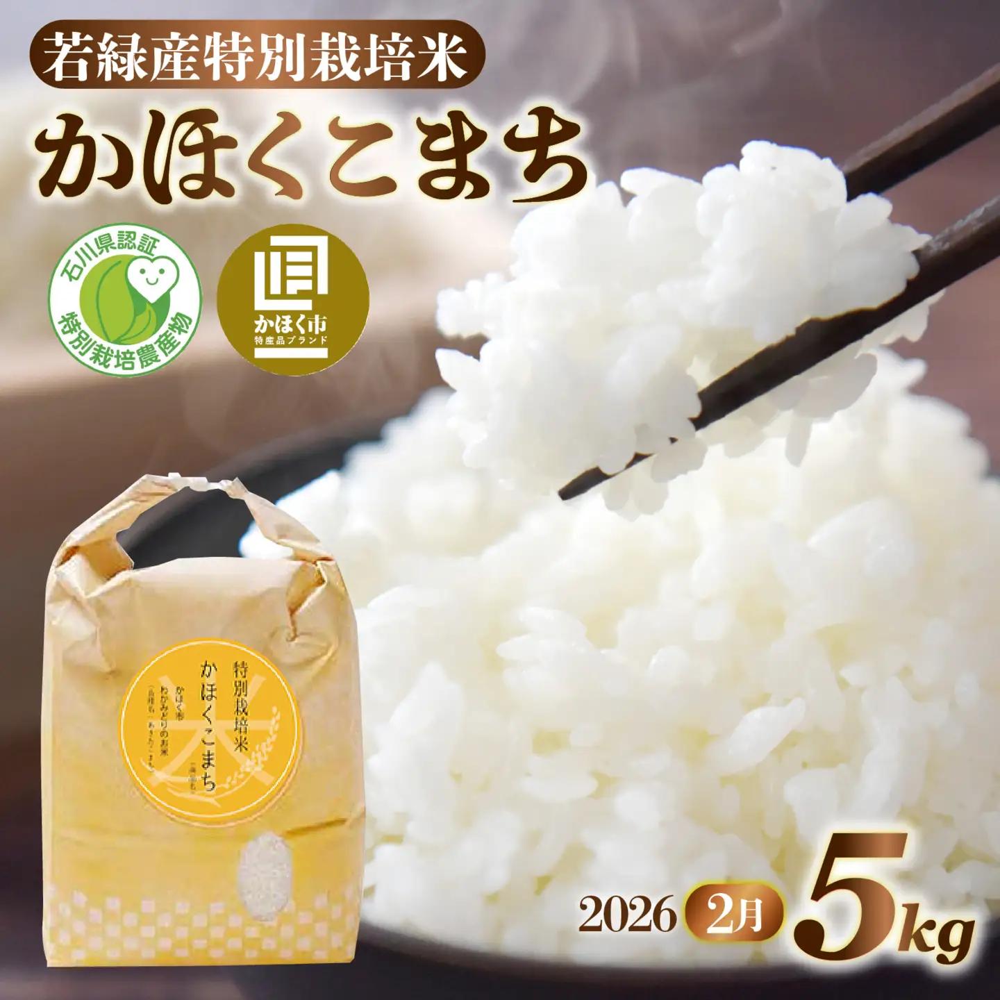 【令和8年産】 かほくこまち 5kg 【2027年2月配送】 | お米 米 かほくこまち