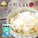 【ふるさと納税】〈令和6年産〉 愛鴨米 玄米 5kg 送料無料 ナツホノカ うるち玄米 祖母山 一番水 大分県産【2024年10月上旬-2025年10月上旬発送予定】