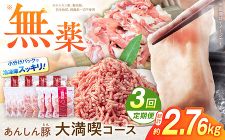 【3回定期便】豚肉大満喫コース 計2.76kg 藤井ファーム[AWAF072]豚肉セット