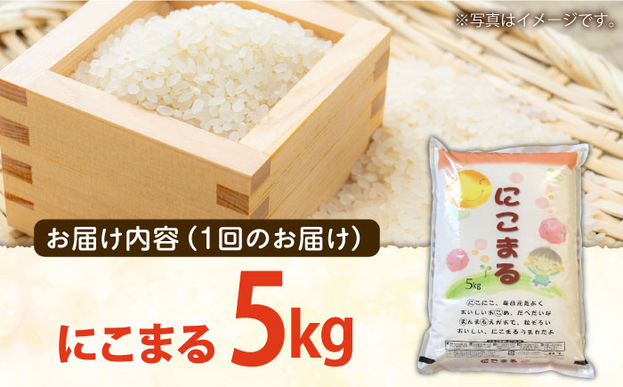 【6回定期便】 長崎県産 精米 にこまる 5kg 総計 30kg / 米 / 南島原市 / 大松屋商店 [SDR003]