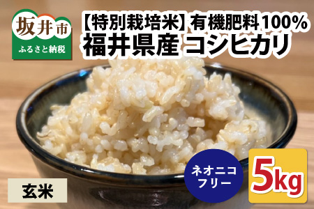 【先行予約】【令和7年産・新米】【特別栽培米】福井県産 コシヒカリ 5kg ～化学肥料にたよらない 有機肥料100%～ ネオニコフリー（玄米）【2025年10月上旬以降順次発送予定】 [A-13403_02]