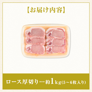 【A05051】鹿児島県産厚切り豚ロースステーキ用(約1kg)鹿児島  豚肉 ポーク ロース 厚切り とんかつ トンテキ ステーキ【大将食品】