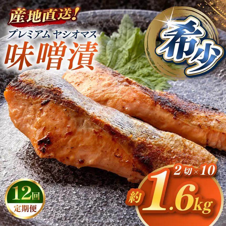 【定期便12回】「プレミアムヤシオマス」の味噌漬 2切入×10パック  [ 冷凍便 ] | 魚 ます 養殖 産地直送 栃木県 (毎月お届け）