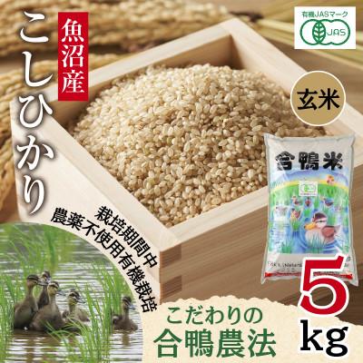 ふるさと納税 十日町市 【玄米】魚沼産 コシヒカリ 5kg 栽培期間中農薬不使用 あいがも農法 有機栽培米 新潟県十日町市