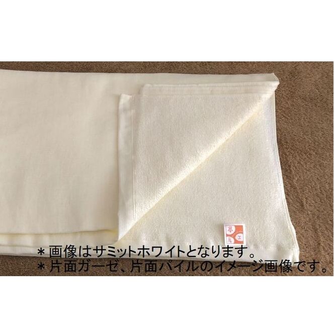 判裏ガーゼバスタオル 2枚セット（シュアラインベージュ）【泉州タオル 国産 吸水 普段使い 無地 シンプル 日用品 家族 ファミリー】 099H478_イメージ2