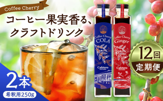 【先行予約】【2025年7月中旬から順次発送】【全12回定期便】カフェテーロ葉山　コーヒーチェリーコーラ 1本 コーヒーチェリージンジャー 1本 計2本 / コーラ エナジードリンク 酸味 コーヒー  神奈川県 葉山町 クラフトコーラ 天然 ドリンク 炭酸【合同会社エンディレクト】 [ASBM024]