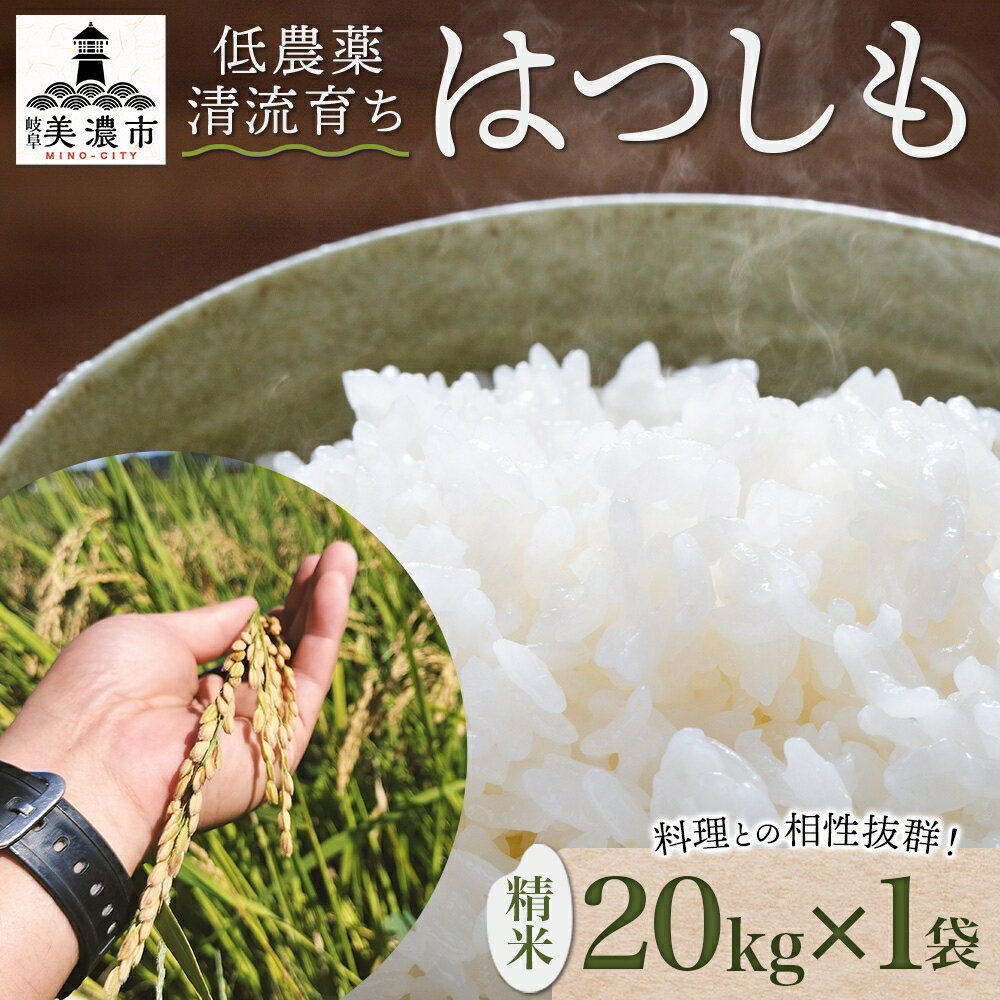 【ふるさと納税】＜先行予約＞令和8年産 はつしも 精米 20kg×1袋 低農薬 新米 お米 白米 米 ごはん 米 ご飯 ハツシモ R8年産 あっさり ブランド米 お取り寄せ 産地直送 送料無料 美濃グリーン 岐阜県 美濃市　お届け：2026/12/15から順次出荷