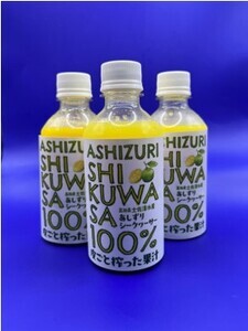 皮ごとシークワーサー果汁100％（300ml×３本セット）【R00359】