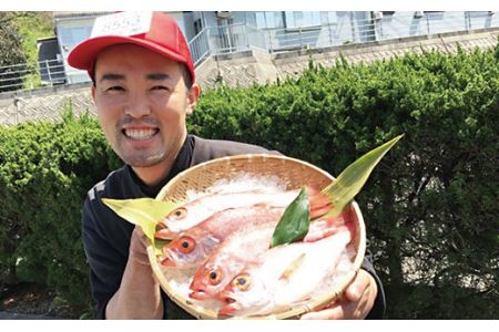 幻の高級魚「のどぐろ（鮮魚）」魚介 のどぐろ 鮮魚 高級魚 魚 旬 期間限定【10】