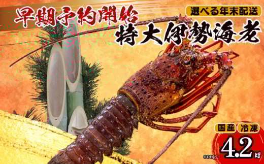 【早期予約】 【12月30日着】 特大 伊勢海老 3匹 1800g ～ 以上 冷凍 ( 特大サイズ 急速冷凍 えび エビ 高級 鮮魚 海鮮 魚介 刺身 焼き物 汁物 ギフト 贈答 贈り物 祝い 歳暮 中元 年末 年始 早期 予約 ) IKY069