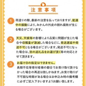 北川果樹園 土佐文旦 訳あり10kg 文旦
