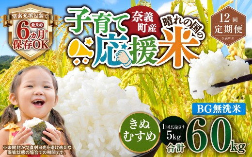 【12回定期便】 子育て応援米  奈義町産米 BG無洗米 きぬむすめ5kg 【窒素充填包装】 【お申込み完了月の翌月から順次発送】  米 お米 白米 ご飯 単一精米 無洗米 国産 定期便 岡山県 奈義