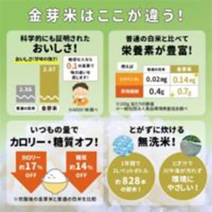 【毎月定期便】【4.5kg】金芽米 4.5kg×1袋(無洗米)　金芽米計量カップ付全3回【4081933】