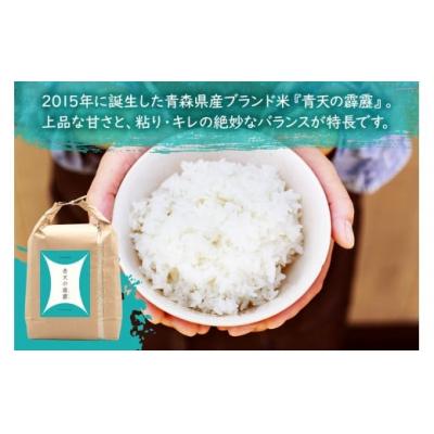 ふるさと納税 つがる市 青天の霹靂(特別栽培米) 白米5kg 令和7年産 [0898] |  | 03