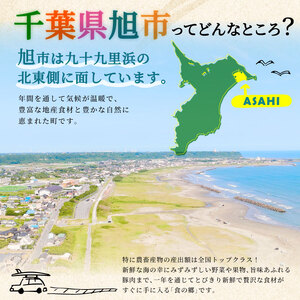 せんば牛カルビ焼肉用スライス 300g×4パック(約10人前分) 牛カルビ 牛カルビ 牛カルビ 牛カルビ 牛カルビ 牛カルビ