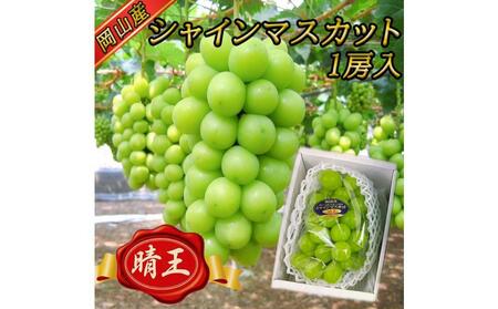 シャインマスカット【 晴王 】【 9月発送分 】1房（約650g）｜ シャインマスカット