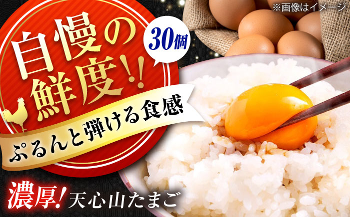 天心山 たまご 30個（10個入り×3パック） 卵 たまご 高級 食品 たまごかけご飯 卵かけご飯 卵焼き 生卵 濃厚 ケーキ お菓子 づくり ランキング 上位 人気 おすすめ 　広島県福山市/天心山ファーム [BABW013]