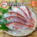 【ふるさと納税】【真鯛の頭付き】煮てよし焼いてよし！ 日本海産のどぐろ 5パック ／ 高級魚 ビール 煮魚 焼き魚 おつまみ 魚介類 海の幸 国産 個包装 お取り寄せ