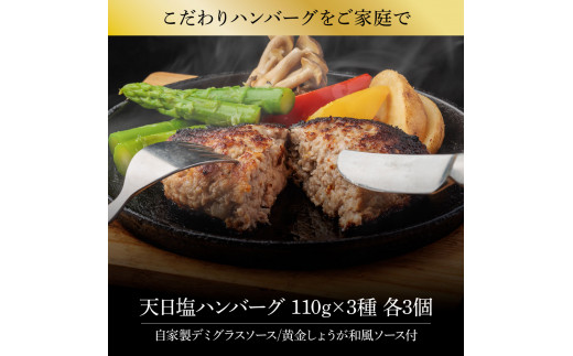 ＜高騰に伴い2025年1月1日以降、寄附額改定予定＞食べ比べ！天日塩ハンバーグ3種セット各3個(110g×3種) 合計9個 ハンバーグ 黒毛和牛 美鮮豚 天然塩 天日塩 デミグラスソース 和風ソース 