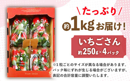 【先行予約】佐賀のブランドいちご いちごさん 約1kg（約250g×4p）/中村青果店 [UDK007] いちご イチゴ 苺 果物 フルーツ